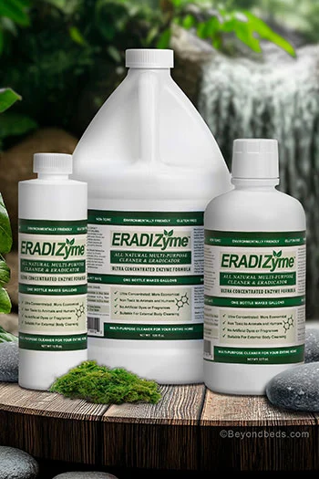 Three bottles of Eradizyme™ in different sizes: 16 oz, 32 oz, and 128 oz, displayed side by side, used to eliminate biting mites, bed bugs, and scabies.