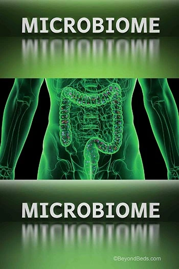 These images highlight the importance of gut-healthy foods for optimal digestion and microbiome balance. The first image presents a diverse array of raw vegetables, salmon, walnuts, almonds, chia seeds, olive oil, and broccoli—each contributing essential nutrients, healthy fats, and probiotics that nourish gut bacteria and aid digestion. The second image showcases a colorful basket of farmers market produce, including green apples, oranges, red beets, red bell peppers, cucumbers, carrots, tomatoes on the vine, and cabbage, all rich in fiber, antioxidants, and prebiotics that help support a healthy gut environment. Together, these visuals emphasize the role of whole, nutrient-dense foods in fostering digestive wellness and overall health.