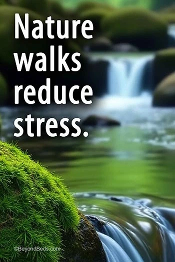 A close-up of a peaceful brook with a small waterfall, illustrating the calming effects of nature walks, with a caption that reads "Nature walks reduce stress."