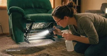 A frustrated homeowner using a flashlight and a spray bottle to thoroughly inspect under a recliner chair checking immediate furniture surfaces for hidden bird and rodent mites as a mandatory first step.