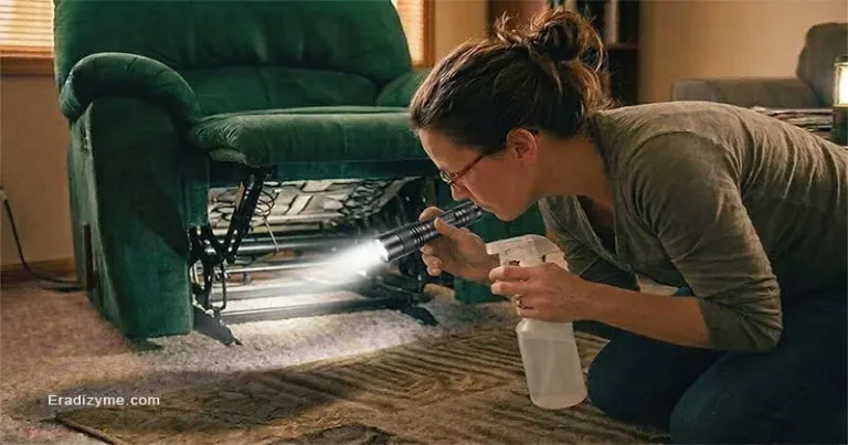 A frustrated homeowner using a flashlight and a spray bottle to thoroughly inspect under a recliner chair checking immediate furniture surfaces for hidden bird and rodent mites as a mandatory first step.